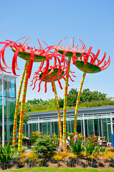 art at the Seattle Center